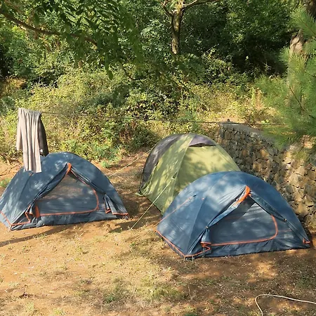 Luxury tent Tent For 2 *